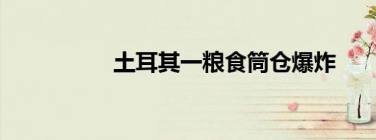 土耳其一粮食筒仓爆炸