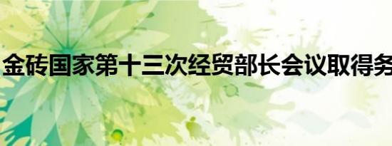 金砖国家第十三次经贸部长会议取得务实成果