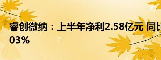 睿创微纳：上半年净利2.58亿元 同比增129.03%