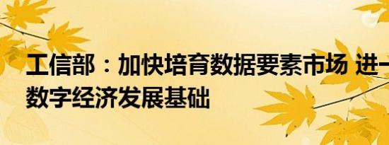 工信部：加快培育数据要素市场 进一步夯实数字经济发展基础
