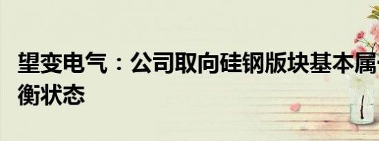 望变电气：公司取向硅钢版块基本属于产销平衡状态