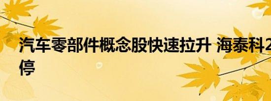 汽车零部件概念股快速拉升 海泰科20CM涨停