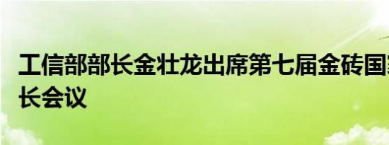 工信部部长金壮龙出席第七届金砖国家工业部长会议