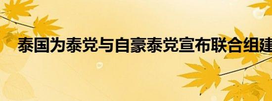 泰国为泰党与自豪泰党宣布联合组建政府