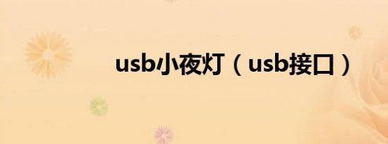usb小夜灯（usb接口）