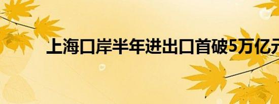 上海口岸半年进出口首破5万亿元
