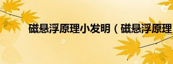 磁悬浮原理小发明（磁悬浮原理）