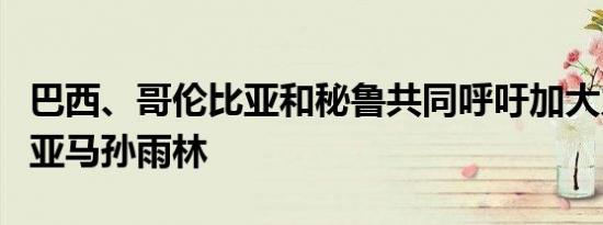 巴西、哥伦比亚和秘鲁共同呼吁加大力度保护亚马孙雨林