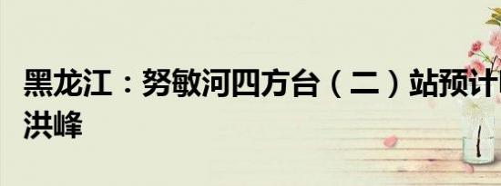 黑龙江：努敏河四方台（二）站预计明日出现洪峰