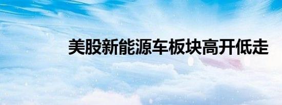 美股新能源车板块高开低走