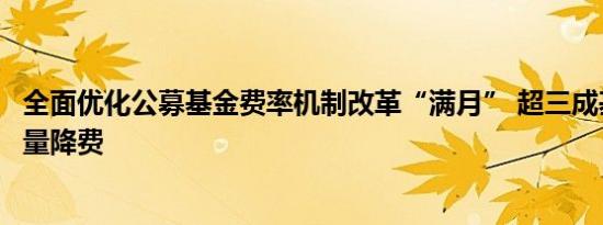 全面优化公募基金费率机制改革“满月” 超三成基金公司批量降费