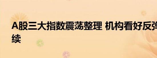 A股三大指数震荡整理 机构看好反弹趋势延续