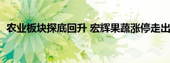 农业板块探底回升 宏辉果蔬涨停走出2连板