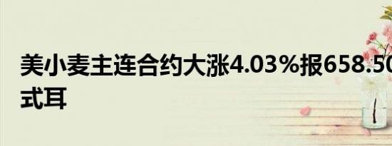 美小麦主连合约大涨4.03%报658.50美分/蒲式耳