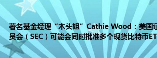 著名基金经理“木头姐”Cathie Wood：美国证券交易委员会（SEC）可能会同时批准多个现货比特币ETF