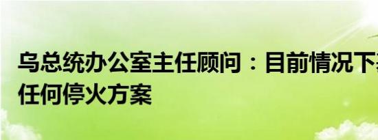 乌总统办公室主任顾问：目前情况下基辅反对任何停火方案