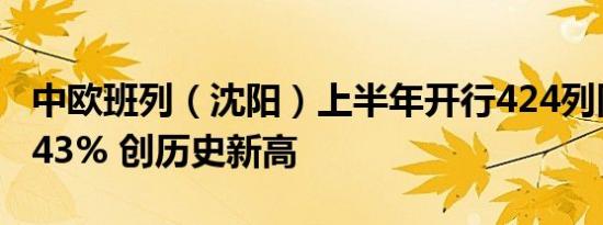 中欧班列（沈阳）上半年开行424列同比增长43% 创历史新高