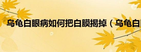 乌龟白眼病如何把白膜揭掉（乌龟白眼病）