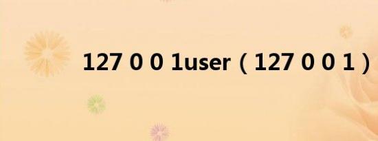 127 0 0 1user（127 0 0 1）