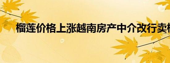 榴莲价格上涨越南房产中介改行卖榴莲
