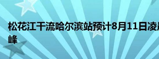 松花江干流哈尔滨站预计8月11日凌晨出现洪峰