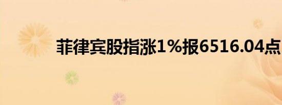 菲律宾股指涨1%报6516.04点