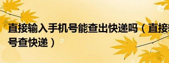 直接输入手机号能查出快递吗（直接输入手机号查快递）