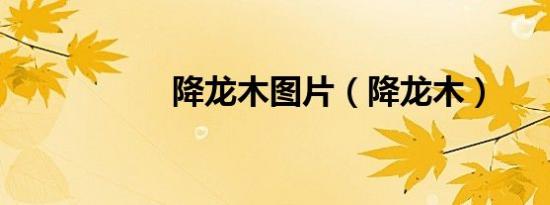 降龙木图片（降龙木）