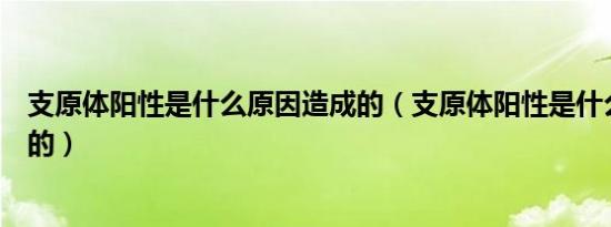 支原体阳性是什么原因造成的（支原体阳性是什么原因造成的）