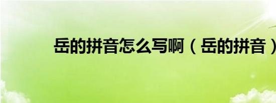 岳的拼音怎么写啊（岳的拼音）