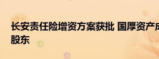长安责任险增资方案获批 国厚资产成第一大股东