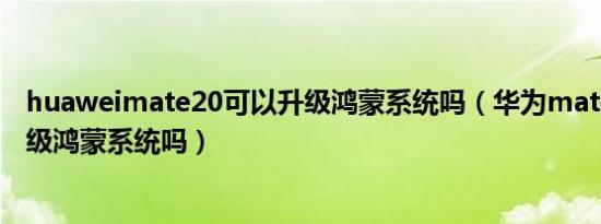 huaweimate20可以升级鸿蒙系统吗（华为mate20可以升级鸿蒙系统吗）