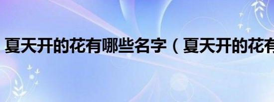 夏天开的花有哪些名字（夏天开的花有哪些）