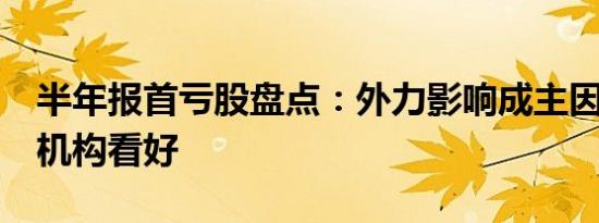 半年报首亏股盘点：外力影响成主因 10股获机构看好