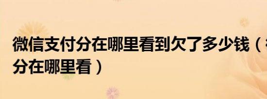 微信支付分在哪里看到欠了多少钱（微信支付分在哪里看）