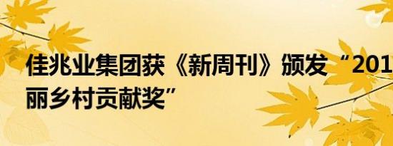 佳兆业集团获《新周刊》颁发“2019年度美丽乡村贡献奖”