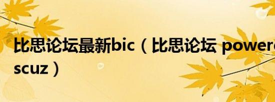 比思论坛最新bic（比思论坛 powered by discuz）