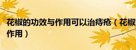 花椒的功效与作用可以治痔疮（花椒的功效与作用）