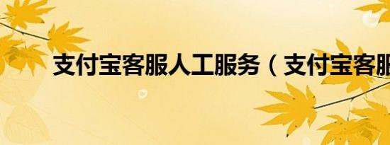 支付宝客服人工服务（支付宝客服）