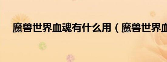 魔兽世界血魂有什么用（魔兽世界血魂）