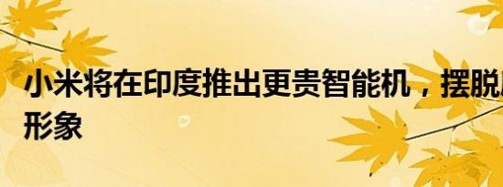 小米将在印度推出更贵智能机，摆脱廉价品牌形象