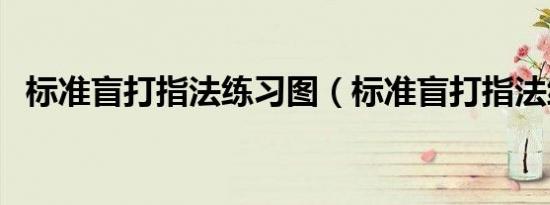 标准盲打指法练习图（标准盲打指法练习）