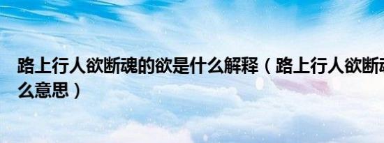 路上行人欲断魂的欲是什么解释（路上行人欲断魂的欲是什么意思）