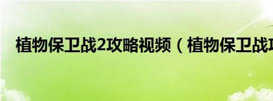 植物保卫战2攻略视频（植物保卫战攻略）