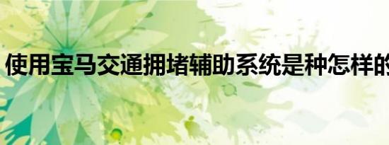 使用宝马交通拥堵辅助系统是种怎样的体验？