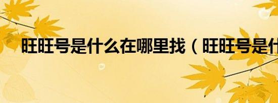 旺旺号是什么在哪里找（旺旺号是什么）