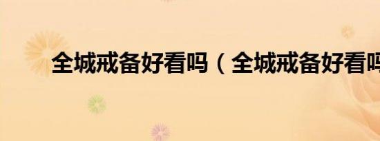全城戒备好看吗（全城戒备好看吗）