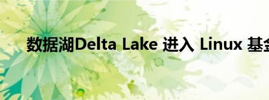 数据湖Delta Lake 进入 Linux 基金会