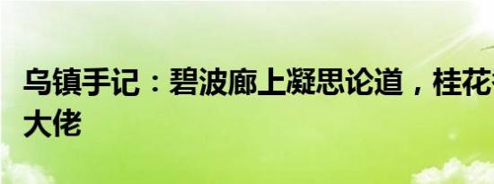 乌镇手记：碧波廊上凝思论道，桂花香里偶遇大佬