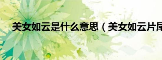 美女如云是什么意思（美女如云片尾曲）